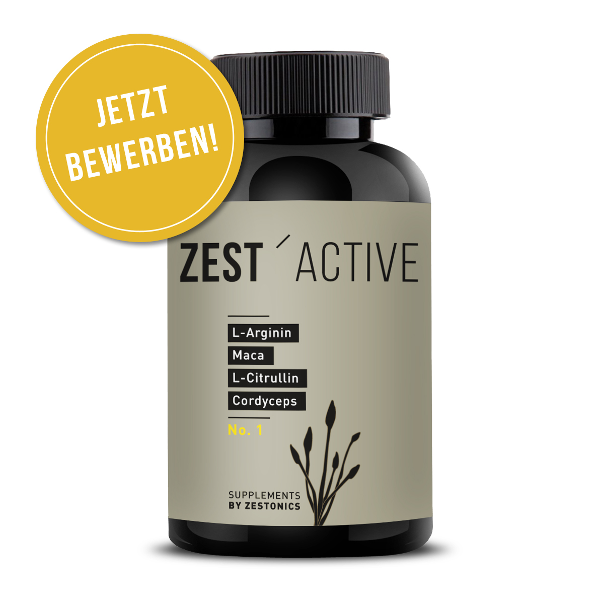 zestonics zestactive